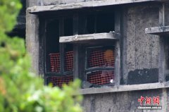 香港宏福苑居民火灾后首次“回家”：有不舍更有期盼